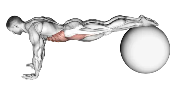 Pull in (On Stability Ball) — movement illustration 1