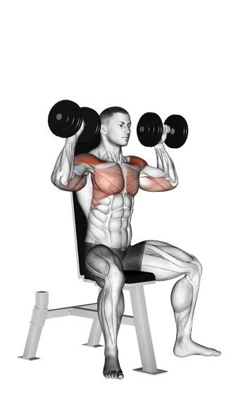 Dumbbell Seated Shoulder Press — movement illustration 1