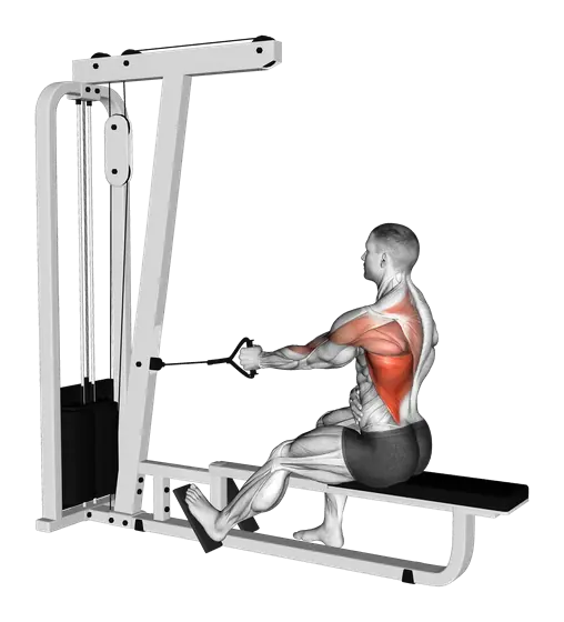 Cable Seated Single-Arm Lats Focused Row — movement illustration 1