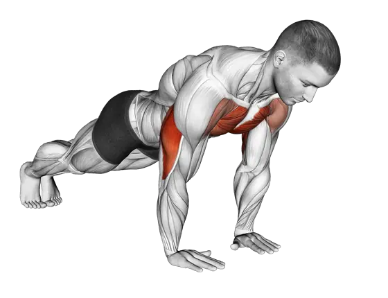 Close-Grip Push-Up — movement illustration 1