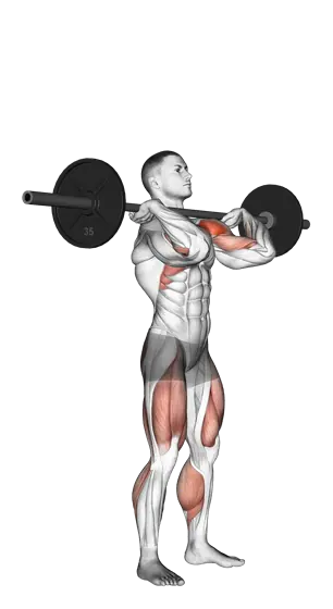 Push Press — movement illustration 1