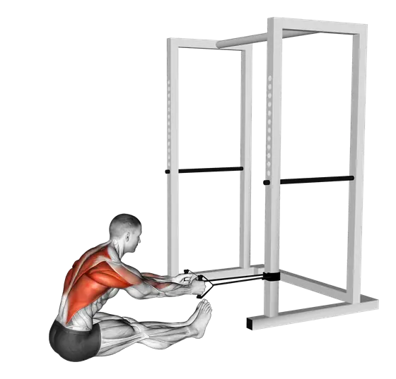 Resistance Band Seated Row — movement illustration 1