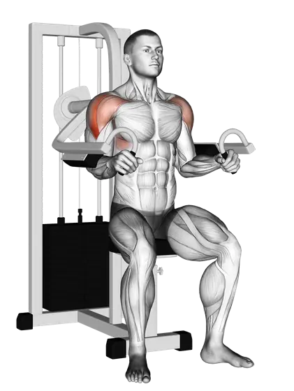 Machine Lateral Raise — movement illustration 1