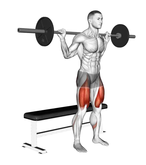 Barbell Bench Squat — movement illustration 1