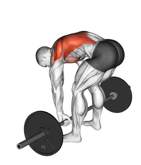 Barbell Pendlay Row — movement illustration 1