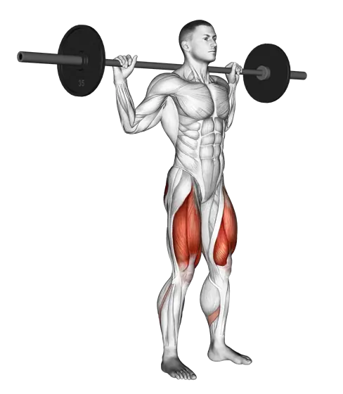 Barbell Narrow Stance Squat — movement illustration 1
