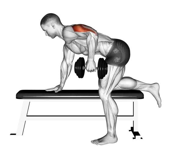 Dumbbell Kickback — movement illustration 1