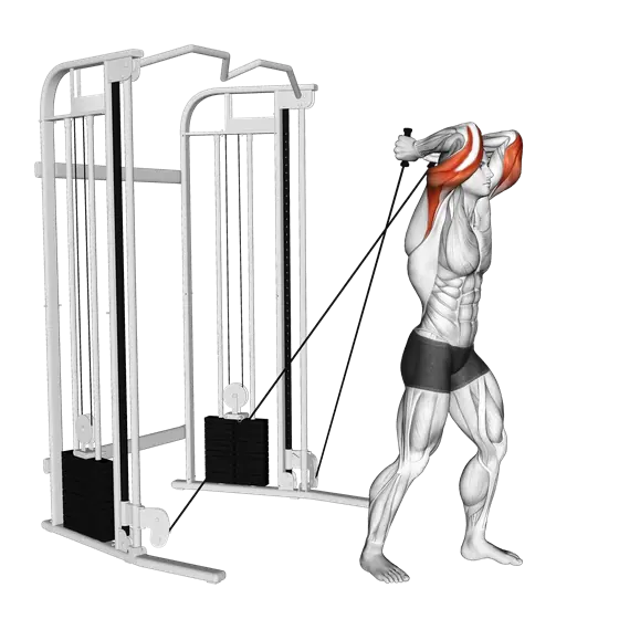 Cable Standing Neutral-Grip Overhead Triceps Extension — movement illustration 1