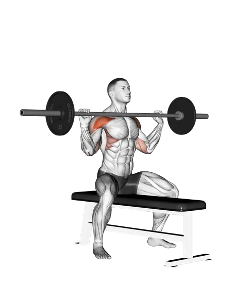 Barbell Seated Overhead Press — movement illustration 1
