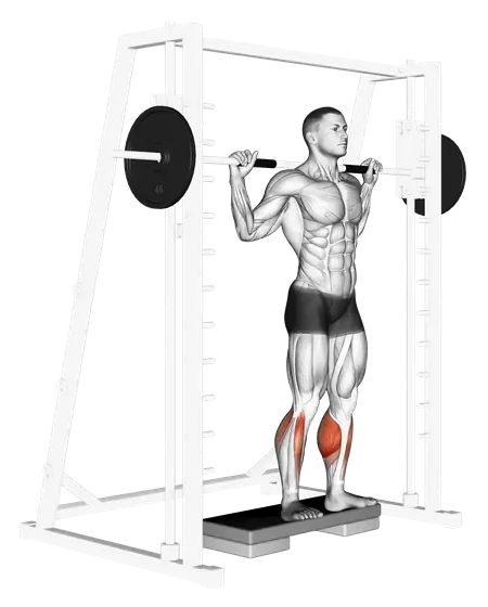 Smith Reverse Calf Raises — movement illustration 1