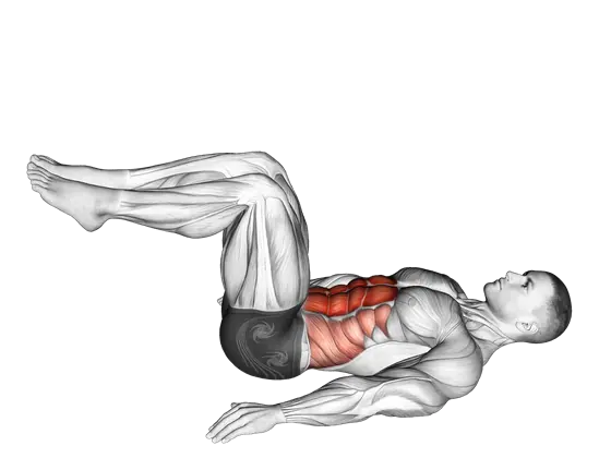 Reverse Crunch — movement illustration 1