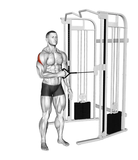 Cable Standing Shoulder External Rotation — movement illustration 1