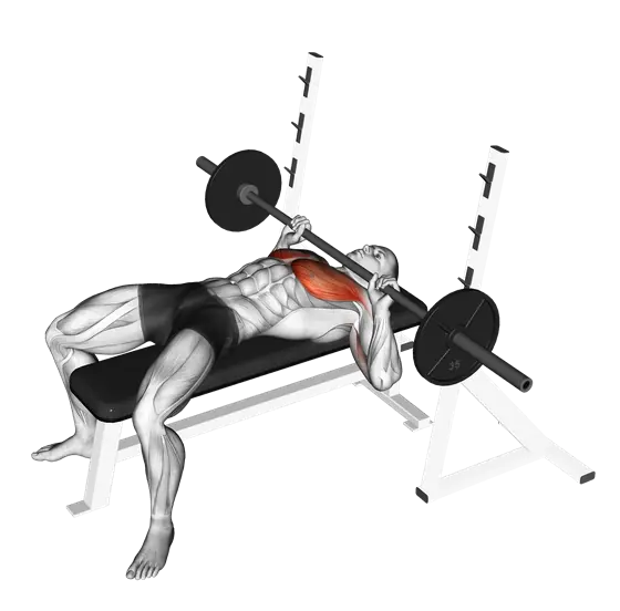 Barbell Guillotine Bench Press — movement illustration 1