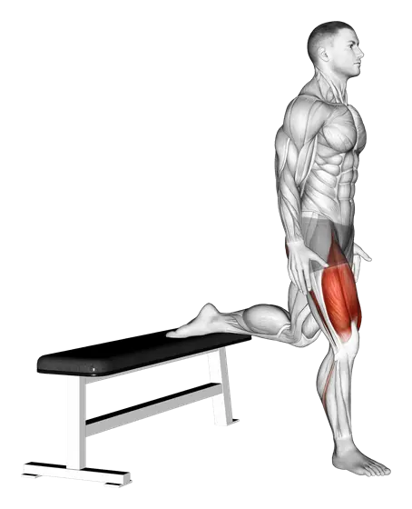 Bulgarian Split Squat — movement illustration 1