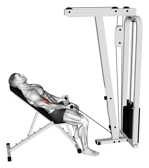 Cable Incline Biceps Curl — movement illustration 1