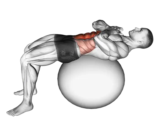 Crunch (On Stability Ball) — movement illustration 1
