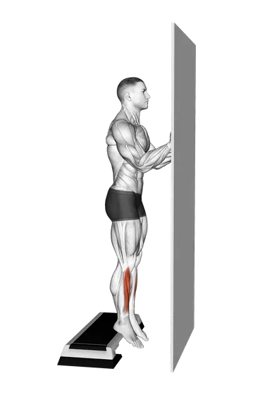 Standing Tibialis Raise Wall Supported — movement illustration 1