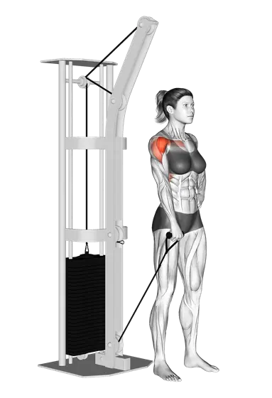Cable Single-Arm Front Raise — movement illustration 1