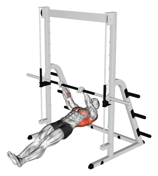 Inverted Row — movement illustration 1