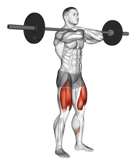 Barbell Front Squat — movement illustration 1