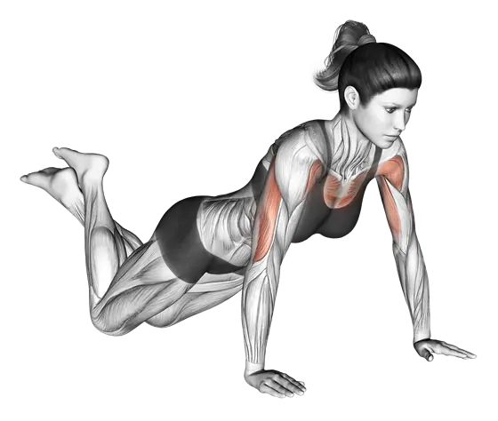 Push-Up (On Knees) — movement illustration 1