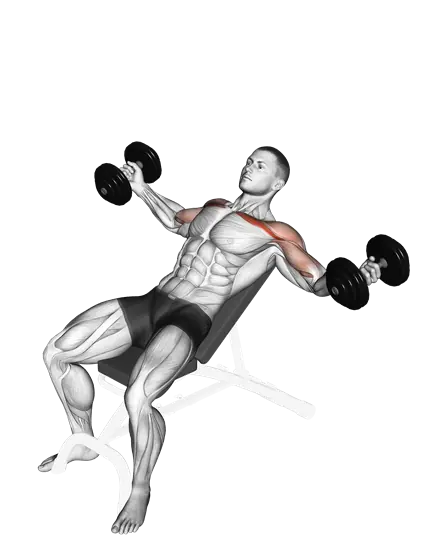 Dumbbell Incline Twisted Flyes — movement illustration 1