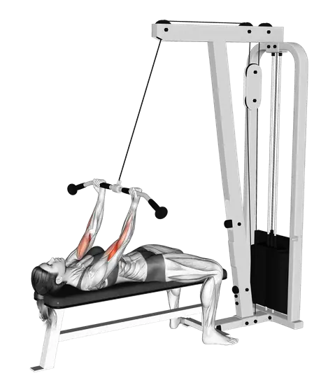 Cable Lying Regular Grip Curl — movement illustration 1