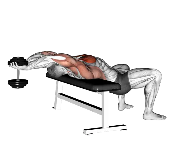Dumbbell Straight Arm Pullover — movement illustration 1