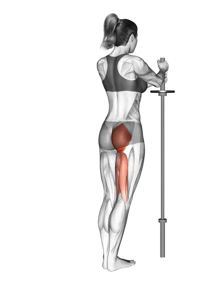 Standing Hip Extension (Straight Leg) — movement illustration 1