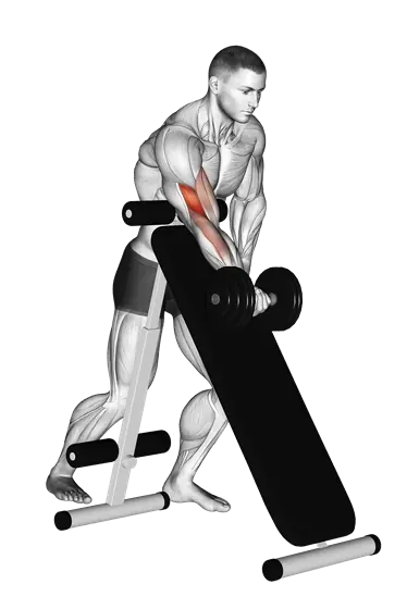 Dumbbell Standing Single-Arm Curl Over Incline Bench — movement illustration 1