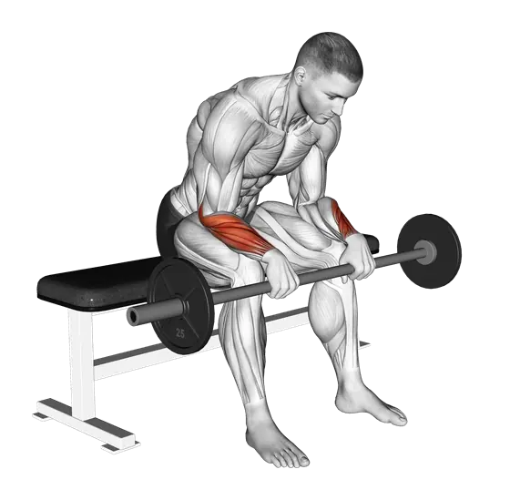 Barbell Reverse Wrist Curl — movement illustration 1