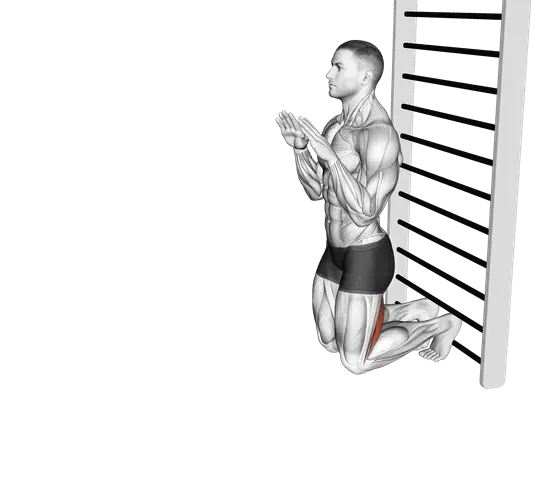 Nordic Hamstring Curl — movement illustration 1