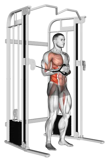 Cable Horizontal Pallof Press — movement illustration 1