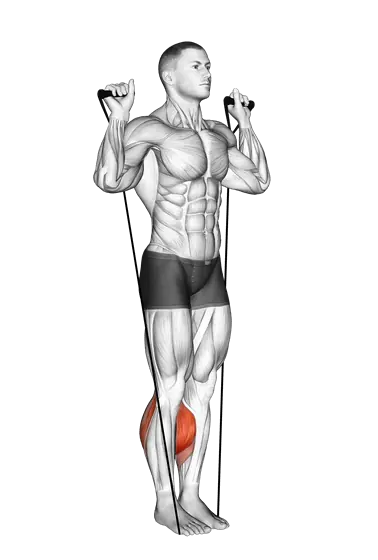 Resistance Band Calf Raise — movement illustration 1