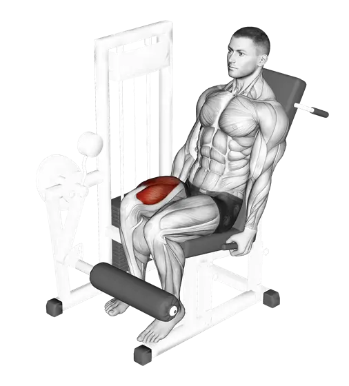 Machine Single-Leg Extension — movement illustration 1