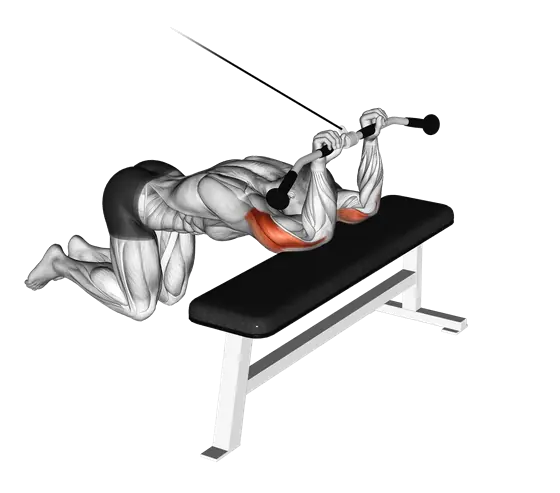Cable Kneeling Triceps Extension — movement illustration 1