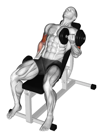 Dumbbell Incline Alternate Biceps Curl — movement illustration 1