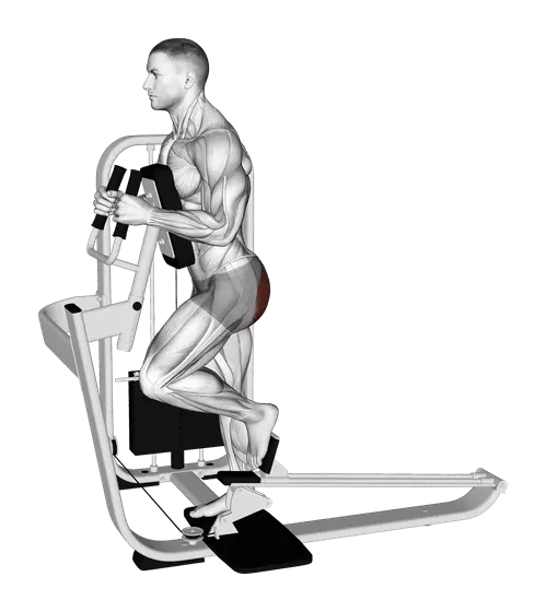 Machine Glute Press — movement illustration 1