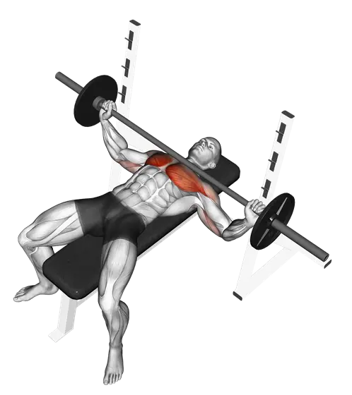 Barbell Wide Bench Press — movement illustration 1