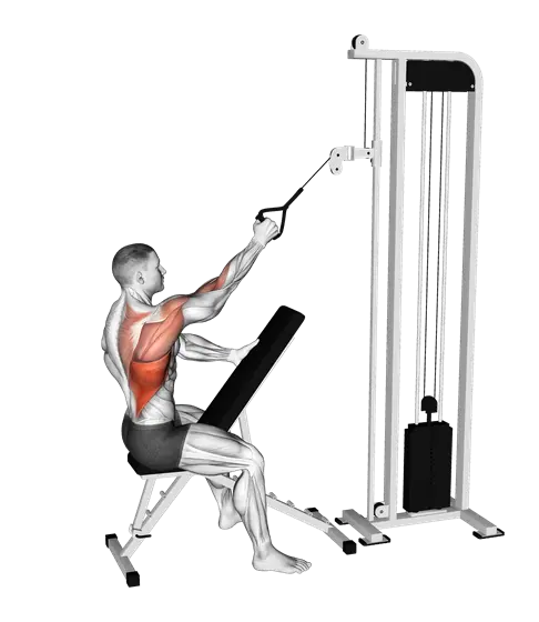 Cable Single-Arm High Row — movement illustration 1