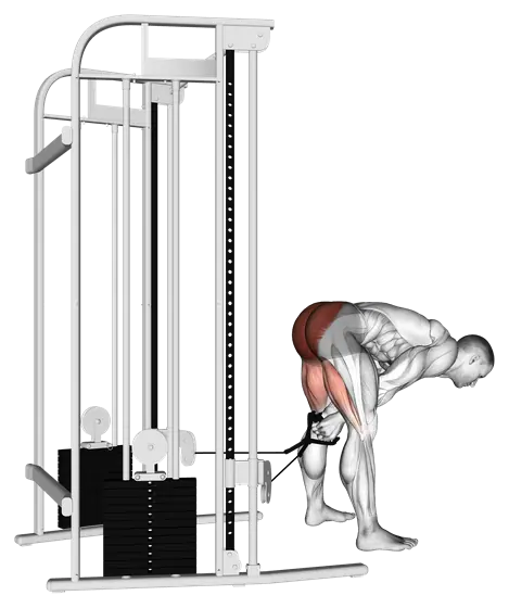 Cable Pull Through — movement illustration 1