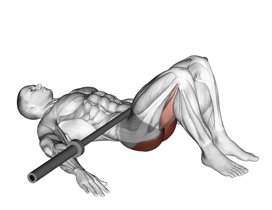 Barbell Glute Bridge — movement illustration 1