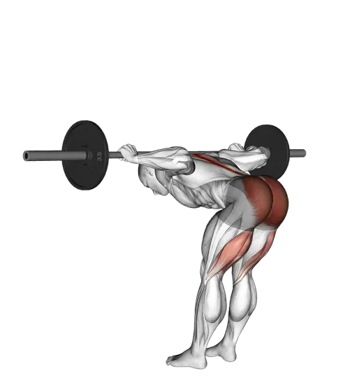 Barbell Good Morning — movement illustration 1