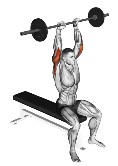 Barbell Seated Overhead Triceps Extension — movement illustration 1