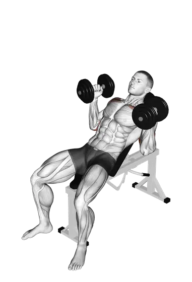 Dumbbell Palms in Incline Bench Press — movement illustration 1