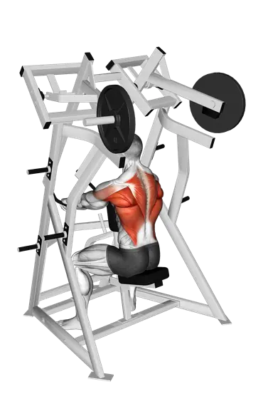 Plate-Loaded Low Row — movement illustration 1