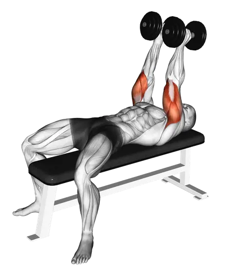 Dumbbell Neutral-Grip Bench Press — movement illustration 1