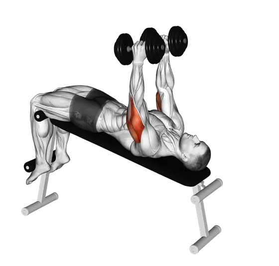 Dumbbell Decline Triceps Extension — movement illustration 1