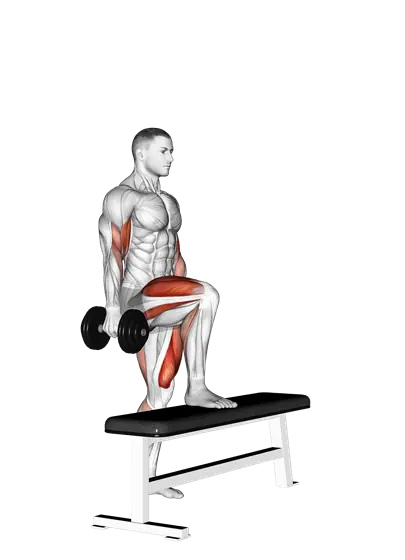 Dumbbell Step-Up Single-Leg Balance with Biceps Curl — movement illustration 1