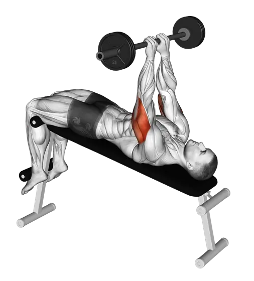 Barbell Decline Close-Grip to Skull Press — movement illustration 1